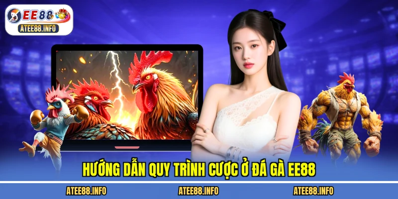 Hướng dẫn quy trình cược ở đá gà EE88